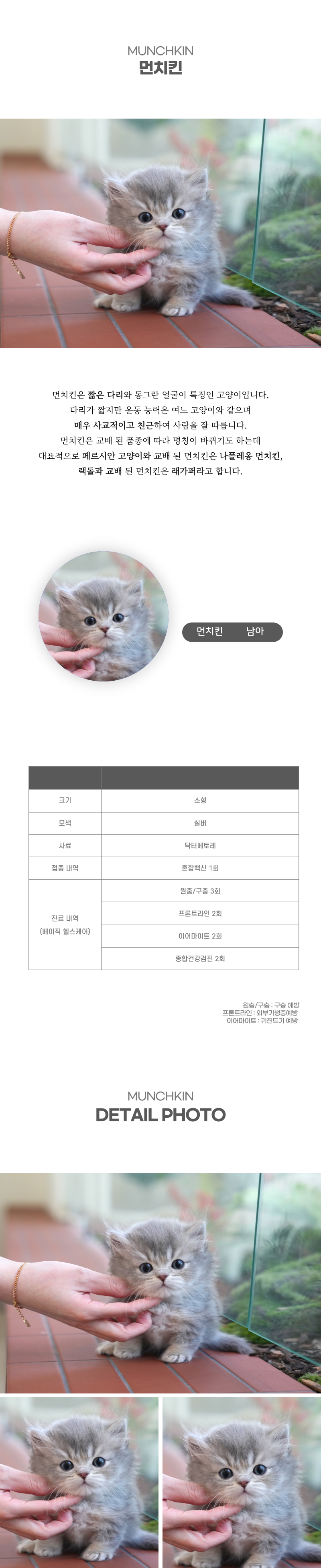 먼치킨_상세이미지_2